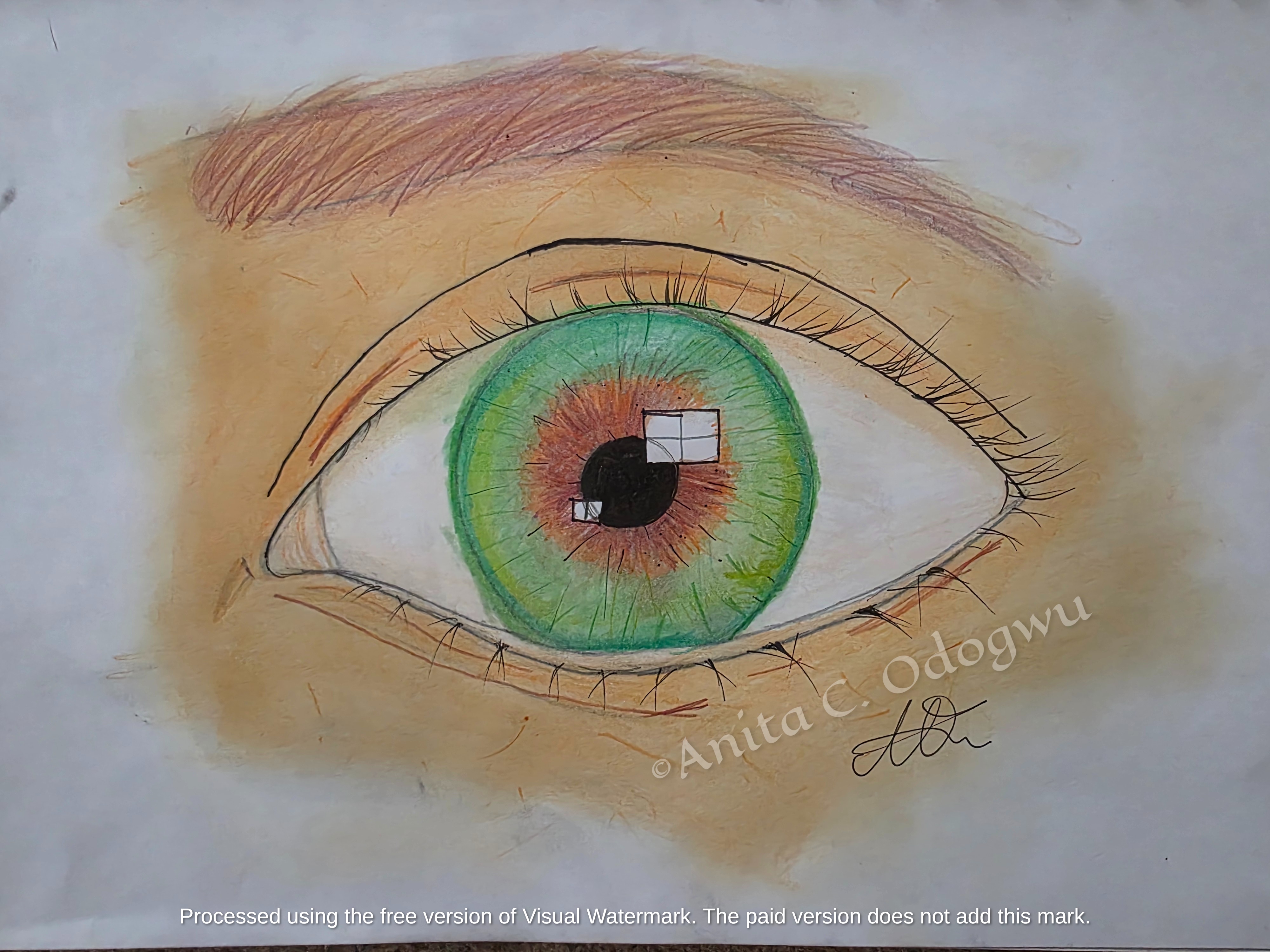 Detailed colored pencil eye drawing with vibrant hazel iris texture and fine ink linework